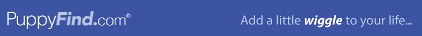 puppyfind header.PNG